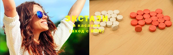 соль ск Новозыбков