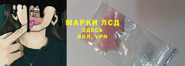 соль ск Новозыбков