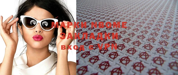 соль ск Новозыбков