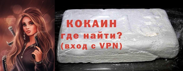 соль ск Новозыбков