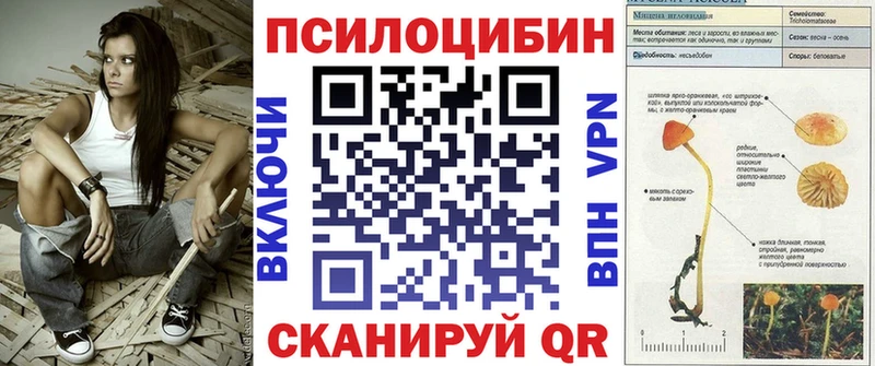 Псилоцибиновые грибы Cubensis  кракен ONION  Пыталово  купить наркотик 