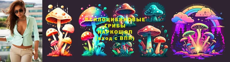 Псилоцибиновые грибы Cubensis  shop клад  Пыталово 